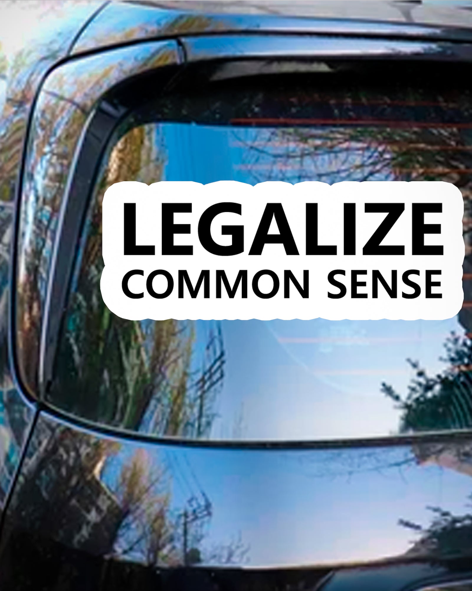 Legalize Common Sense Funny Sticker